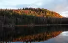 L'automne au bord du Lac © J.B.May