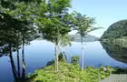 Rivière St-Maurice vue du chalet