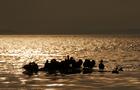 Heure dorée, eiders à duvet © S.Thibault