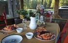 Repas au gazebo © D.Laporte