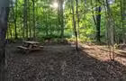 Site de camping #1