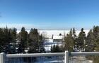 Paysage en hiver