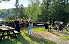 LE1605 « LES CHALETS DANS LE NORD »