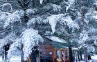 Chalet&nbsp;&nbsp;&nbsp;&copy; Domaine Yamaska