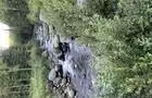 Terrain