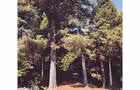 Le chalet