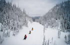 Motoneige&nbsp;&nbsp;&nbsp;&copy; S.Gagnon-Bergeron