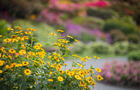 Parc botanique À fleur d'eau © Christian Leduc