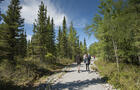 Sentier vers le belvédère&nbsp;&nbsp;&nbsp;&copy; Hydro-Québec