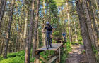 Vélo de montagne&nbsp;&nbsp;&nbsp;&copy; Mont SUTTON