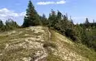 Sentier&nbsp;&nbsp;&nbsp;&copy; Alltrails