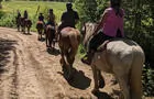 Les Écuries Gaétany&nbsp;&nbsp;&nbsp;&copy; Les Écuries Gaétany