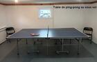 Tennis de table&nbsp;&nbsp;&nbsp;&copy; C.Hébert