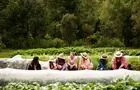 Atelier dans les jardins&nbsp;&nbsp;&nbsp;&copy; Charles & Annie Photographie 2024