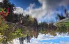 La rivière © F. Ziane