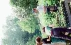 Vente de plants&nbsp;&nbsp;&nbsp;&copy; Les Mômes du Fjord