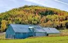 Maison des canards&nbsp;&nbsp;&nbsp;&copy; Ferme Ambrosia