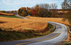 Circuit des Vallons de la Yamaska - Le Québec à vélo&nbsp;&nbsp;&nbsp;&copy; Colin Earp-Lavergne