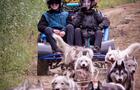 Kinadapt_Rawdon_cani-kart_5 © Kinadapt