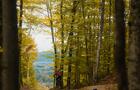Vorlage © Tourisme Outaouais / Citizen North