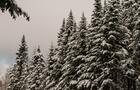 Paysage hivernal&nbsp;&nbsp;&nbsp;&copy; Le Petit Nord