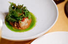 Hoogan et Beaufort - Calmar, sauce gomae / herbes © Anne-Sophie Beauchemin