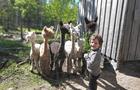 Plaisirs pour tous&nbsp;&nbsp;&nbsp;&copy; M.Lamontagne