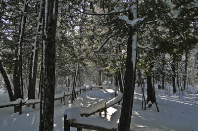 Étang Burbank / Randonnée pédestre, réseau