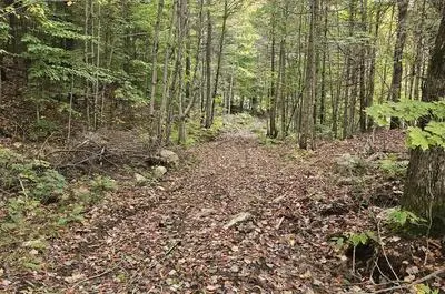 ZONE NATURE CAMPING ET PRÊT À CAMPER