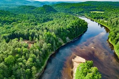 WILDWOOD NATURE ESCAPE