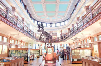 Musée Redpath, Université McGill