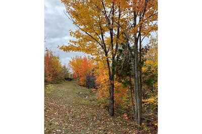 Le site historique T.E. Draper-Chantier Gédéon