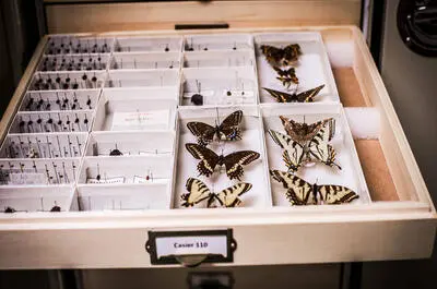Musée de la nature et des sciences de Sherbrooke