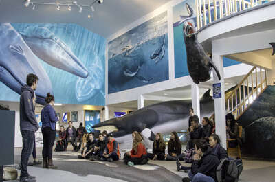 Centre d&rsquo;interprétation de la Station de Recherche des Îles Mingan