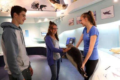 Centre d&rsquo;interprétation du phoque