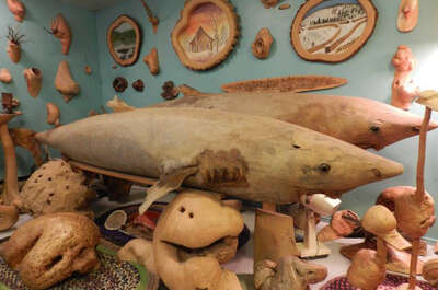 Musée de la nature (Sainte-Rose-du-Nord)