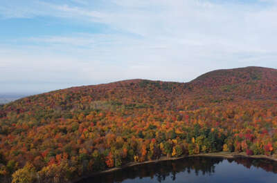 Réserve naturelle Gault