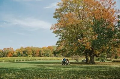 Domaine du Ridge