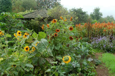 Les Jardins du Grand-Portage