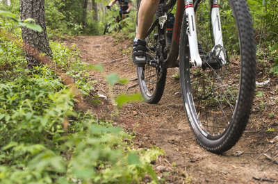 La Forêt récréative de Val d&rsquo;Or