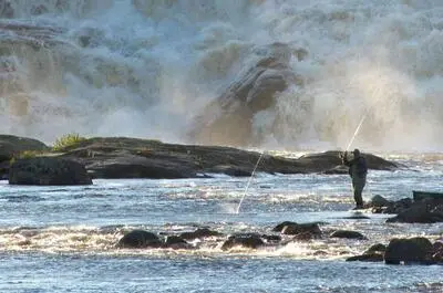 Parc de la Rivière-aux-Rochers – Rivière à saumon