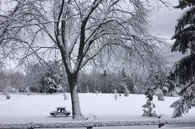 Parc des Chutes Dorwin