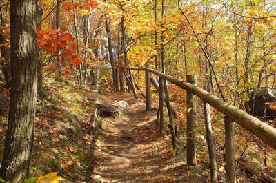 Centre d&rsquo;interprétation du milieu écologique du Haut Richelieu (CIME)