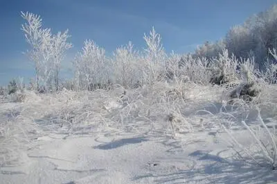 Réseau Bell – Nature