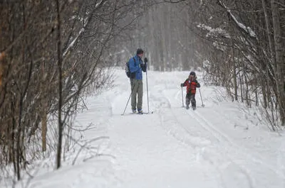 Réserve naturelle du Marais-Léon-Provancher