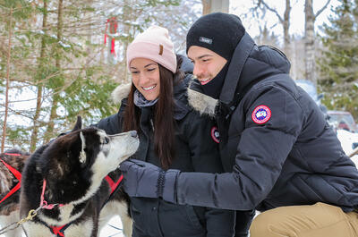 Aventures Nord-Bec Stoneham – Capitaine Husky