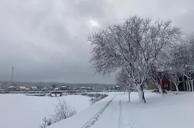 Plage du parc des Îles
