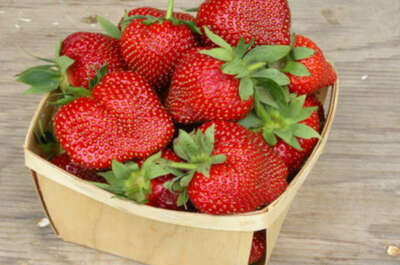 La Fruiterie champêtre