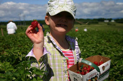 Les Potagers Brie inc.