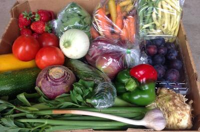 Ferme le Versant fruitier senc.